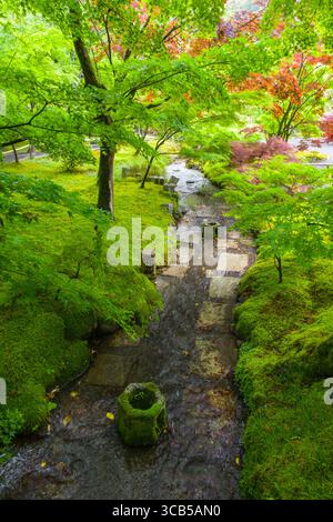 Jardin japonais avec un ruisseau serein qui coule à travers un feuillage vert et rouge vif au temple bouddhiste Eikandō, Kyoto, Japon Banque D'Images