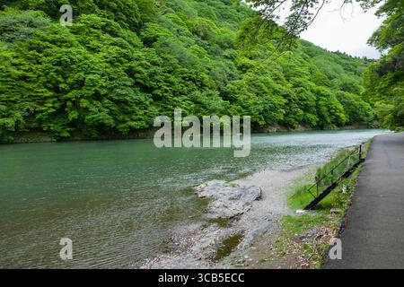 Image paisible de la rivière Katsura qui coule le long d'une forêt verdoyante, avec un chemin tranquille à côté, idéal pour la nature et les thèmes de détente. Banque D'Images