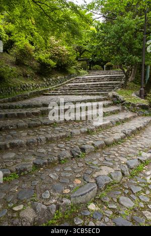 Une série de marches de pierre crée un sentier à travers une forêt verte et vibrante dans la région de Kameyama Park Arashiyama, Ukyo Ward, Kyoto Banque D'Images