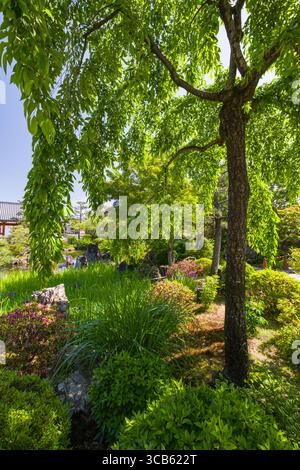 Magnifique jardin japonais à la scène du temple Sanjūsangen-dō avec une végétation luxuriante, des fleurs vibrantes et une atmosphère tranquille parfaite pour la détente et la détente Banque D'Images