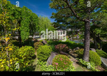 Jardin japonais du temple Sanjūsangen-dō avec une végétation luxuriante, des fleurs colorées et un ciel bleu clair. Idéal pour les thèmes de la nature et du paysage, showcasi Banque D'Images