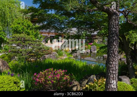Le jardin japonais du temple Sanjūsangen-dō présente une flore vibrante, un étang calme et une architecture traditionnelle. Ce cadre paisible rayonne de tranquillité a Banque D'Images