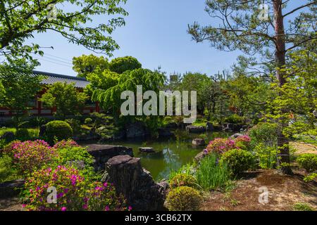 Jardin japonais du temple Sanjūsangen-dō avec un étang paisible entouré de feuillage vibrant, d'arbres et de rochers soigneusement disposés sous un bleu clair Banque D'Images