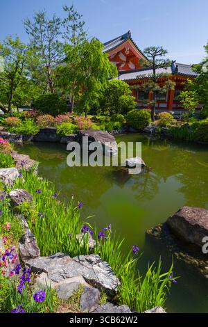 Jardin du temple Sanjūsangen-dō avec un temple animé, une végétation luxuriante et un étang paisible entouré de rochers et de fleurs colorées, capturant les es Banque D'Images