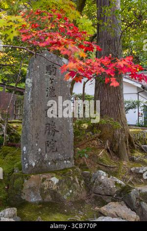 Marqueur en pierre avec texte japonais entouré de feuilles d'automne vibrantes et d'une forêt luxuriante, Kyoto, Japon Banque D'Images