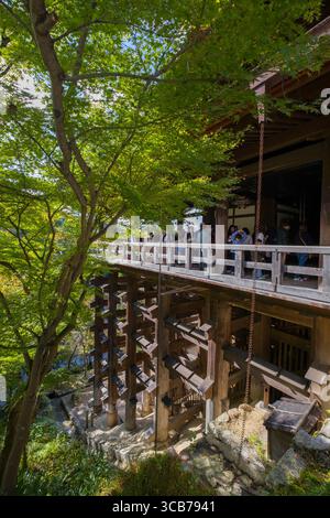 Piliers en bois soutenant le Hondo au temple bouddhiste Kiyomizu-dera entouré d'arbres verdoyants, mettant en valeur l'architecture japonaise, Kyoto, Japon Banque D'Images