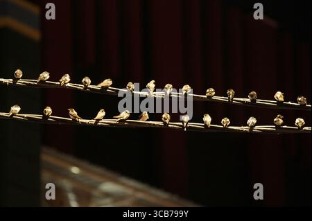 7 octobre 2023, Yogyakarta, Yogyakarta, Indonésie : des milliers de hirundo rustica asiatiques perchés sur les lignes électriques de la ville et les lumières des panneaux d'affichage pour se reposer la nuit à Yogyakarta, le 7,2023 octobre. Cet oiseau de petite longueur migre de ses aires de reproduction en Amérique du Nord et en Eurasie. Pour éviter les conditions météorologiques extrêmes, ces oiseaux volent, cherchent de la nourriture et se reposent dans d'autres régions. L'itinéraire de voyage est assez long, à partir de l'Amérique centrale et du Sud, du sud de l'Espagne, du Maroc, de l'Egypte, de l'Afrique subsaharienne, moyen-Orient, Inde, Indochine, Malaisie, Australie, jusqu'à l'arrivée en Indonésie à Septembe Banque D'Images