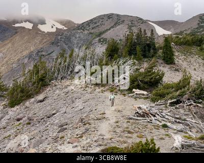 Un randonneur solitaire suit un sentier accidenté du Mont Hood Timberline à travers un paysage pittoresque, entouré d'arbres clairsemés, de rochers et de quelques parcelles de neige Banque D'Images