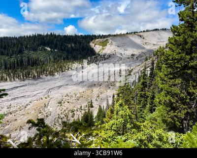 Pittoresque rivière White avec un mélange de forêts de pins verdoyantes et de terrain rocheux aride, sous un ciel bleu spectaculaire orné de clo blanc moelleux Banque D'Images