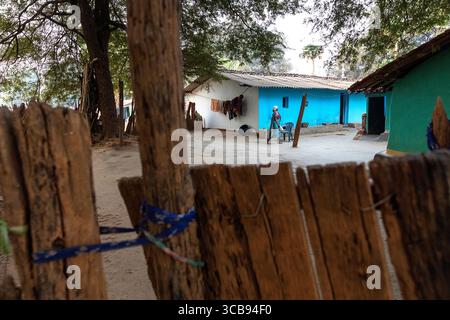 Femme locale marchant dans une cour de maison d'une maison faite de boue dans une partie éloignée de l'inde, clôture faite de vieux bois, maison bleue Banque D'Images