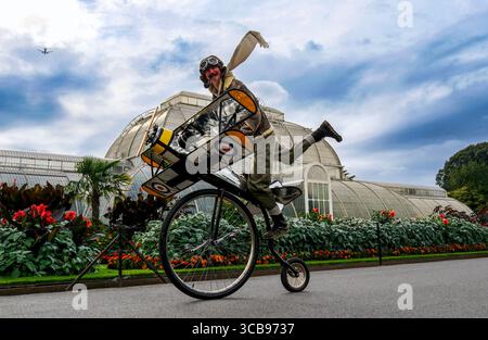 Londres, Royaume-Uni. 7 août 2025.. The Flying Gentlemen at the Summer cycle à Kew - le jardin botanique qui abrite les « collections botaniques et mycologiques les plus grandes et les plus diversifiées du monde ». BensCapMedia/Alamy Live News Banque D'Images