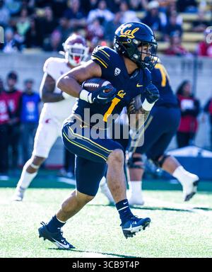 11 novembre 2023 Berkeley, CA États-Unis California Running back Jaydn Ott(1) court avec le ballon pendant le match de football de la NCAA entre les Cougars de l'État de Washington et les Golden Bears de Californie. La Californie a battu l'État de Washington 42-39 au California Memorial Stadium Berkeley Calif. Thurman James / CSM (crédit image : © Thurman James/CSM via ZUMA Press Wire) Banque D'Images
