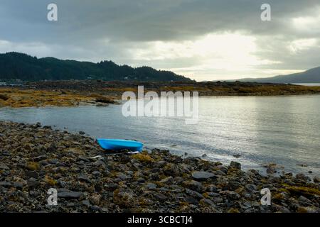 Le kayak bleu repose sur un rivage rocheux recouvert d'algues à marée basse Banque D'Images