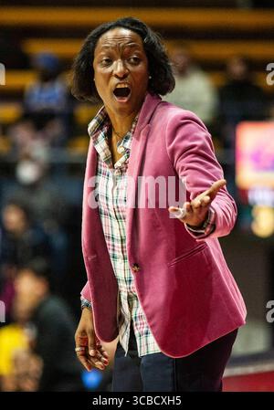 02 février 2024 Berkeley, CA États-Unis L'entraîneur-chef de la Californie Charmin Smith parle à son banc lors du match de basket féminin de la NCAA entre les Bruins de l'UCLA et les Golden Bears de Californie. UCLA a battu la Californie 78-58 au Haas Pavilion Berkeley Calif. Thurman James / CSM (crédit image : © Thurman James/CSM via ZUMA Press Wire) Banque D'Images