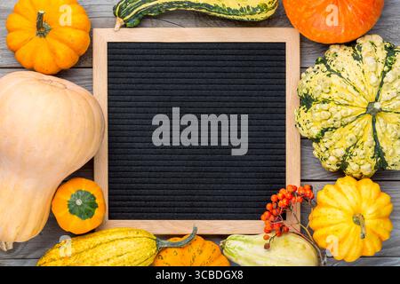 Image de nature morte d'automne avec des citrouilles, des cendres et un panneau de lettres vierge. Fond de concept d'automne de Thanksgiving Banque D'Images