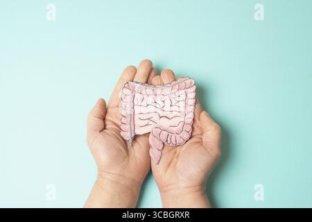 Côlon, cancer colorectal ou rectal, maladie inflammatoire de l'intestin, perte de poids, douleurs abdominales et fatigue, Morbus Crohn, colite ulcéreuse, digestif s Banque D'Images
