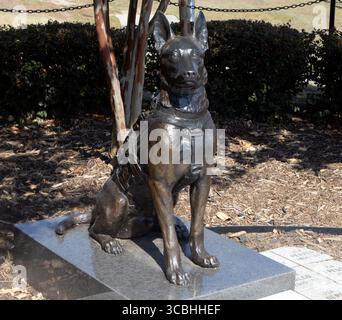 Honorant la bravoure des chiens de travail militaires, le Mémorial K9 des Forces spéciales à Fayetteville, Caroline du Nord, rend hommage aux héros canins en service. Banque D'Images