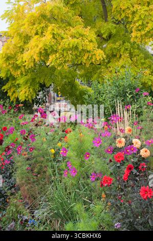 Un jardin animé rempli de diverses fleurs fleurit sous un grand arbre, affichant des couleurs vives pendant la saison d'automne. Banque D'Images