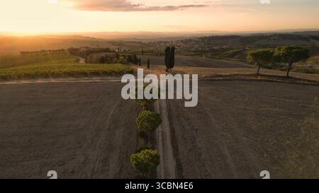Vue aérienne des cyprès bordant une route poussiéreuse à travers les champs toscans, baignés dans la lueur chaude du soleil couchant, Toscane, Italie. Banque D'Images
