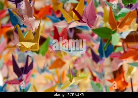 Des centaines de grues en origami colorées accrochées avec des cordes au plafond. Banque D'Images