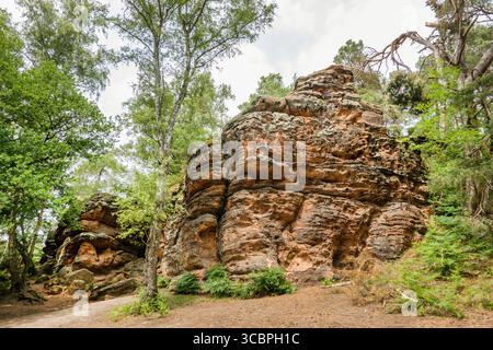 Monument naturel de Katzensteine, Allemagne, Rhénanie du Nord-Westphalie, Mechernich Banque D'Images