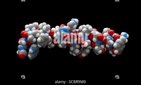 Illustration montrant la structure 3D d'une molécule de tirzépatide. Banque D'Images