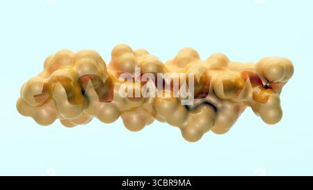 Illustration montrant la structure 3D d'une molécule de tirzépatide. Banque D'Images
