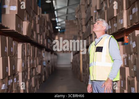 Travailleur masculin senior portant un gilet inspectant des boîtes en carton sur des étagères dans l'allée de l'entrepôt, espace de copie Banque D'Images