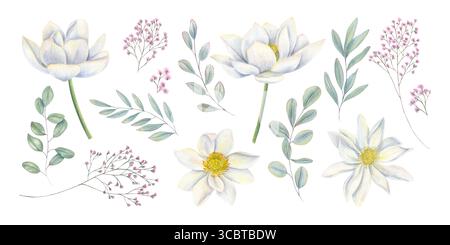 Fleurs de lotus blanc en fleurs, ensemble d'illustrations isolées de gypsophila et branche d'eucalyptus. Nénuphars, baby Breath plant, Leaves clip Banque D'Images