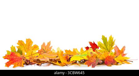 pile de feuilles d'automne isolé, fond naturel d'automne Banque D'Images