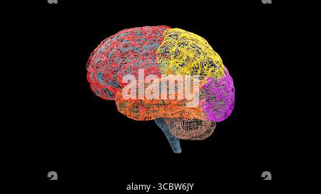 Vue latérale de l'hémisphère gauche du cerveau humain en maille filaire avec lobes colorés distincts, montrés sur un fond noir pour des applications scientifiques, éducatives, Banque D'Images