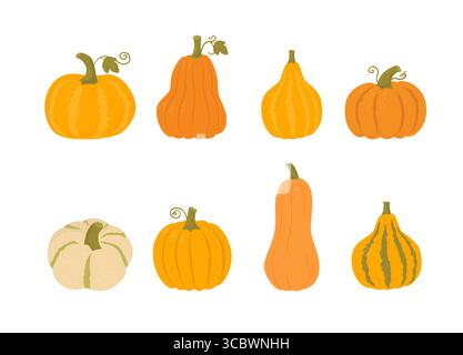 Ensemble de citrouille de différentes formes et couleurs sur bacground blanc. Légumes d'automne traditionnels, récolte. Éléments de Thanksgiving et d'Halloween. Aliments biologiques Illustration de Vecteur