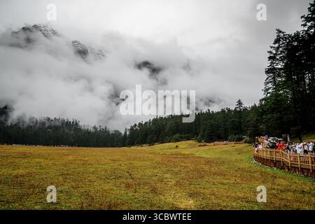 Lijiang, Chine - 24 octobre 2024 : les visiteurs avec des parasols apprécient la vue panoramique de Spruce Meadow entouré de pics brumeux et d'une forêt luxuriante à Yulong Snow Banque D'Images