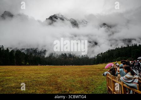 Lijiang, Chine - 24 octobre 2024 : les visiteurs avec des parasols apprécient la vue panoramique de Spruce Meadow entouré de pics brumeux et d'une forêt luxuriante à Yulong Snow Banque D'Images