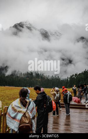 Lijiang, Chine - 24 octobre 2024 : les visiteurs avec des parasols apprécient la vue panoramique de Spruce Meadow entouré de pics brumeux et d'une forêt luxuriante à Yulong Snow Banque D'Images