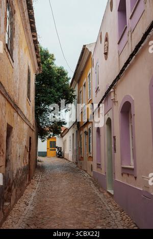 Algarve, Portugal – 2025.07.04 : une charmante ruelle pavée étroite bordée de maisons aux couleurs pastel, menant à une porte jaune et ombragée par une feuille Banque D'Images