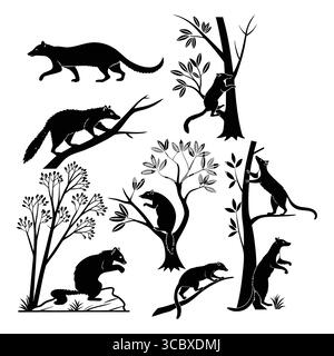 Silhouette de mammifères grimpants Asian Palm Civet dans les arbres avec Forest Element Design Illustration de Vecteur
