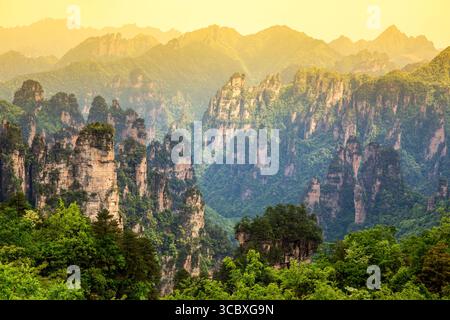 Parc national de Zhangjiajie. Célèbre attraction touristique à Wulingyuan, Hunan, Chine. Paysage naturel étonnant avec des piliers de pierre montagnes de quartz pendant Banque D'Images