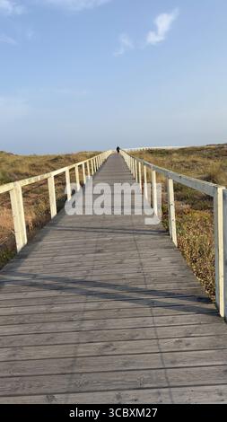 Promenade en bois le long de la côte atlantique, Portugal Banque D'Images