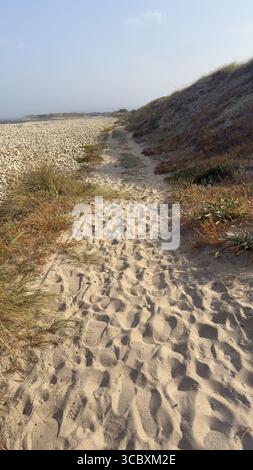 Sandy Atlantic Ocean Shoreline, Portugal Banque D'Images