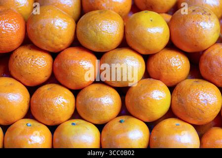 Mandarines ou mandarines fraîches mûres exposées au marché. Banque D'Images