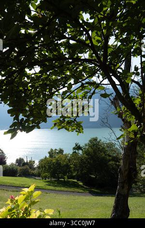 La canopée des arbres encadre le lac Idro à Brescia, en Italie, avec des montagnes alpines, un ciel bleu clair et des eaux calmes par une journée d'été lumineuse. Banque D'Images