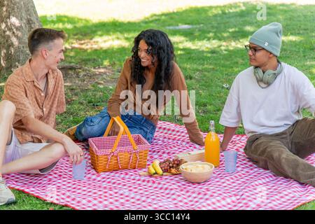 Heureux groupe multiethnique d'amis assis et discutant sur une couverture ayant un pique-nique dans un parc pendant une journée ensoleillée, mangeant des fruits, des collations et buvant Banque D'Images