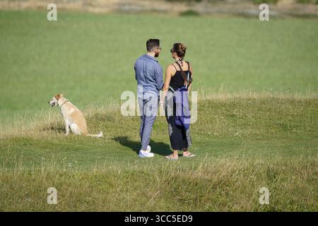 Couple appréciant la promenade panoramique en plein air avec chien dans un paysage vert. Salisbury, Angleterre Banque D'Images