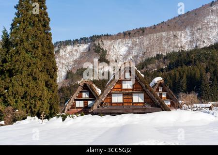 Les trois maisons emblématiques, un trio de fermes gassho-zukuri, se rassemblent dans un magnifique paysage hivernal enneigé à Shirakawa-Go, au Japon. Gifu, Japon. Banque D'Images