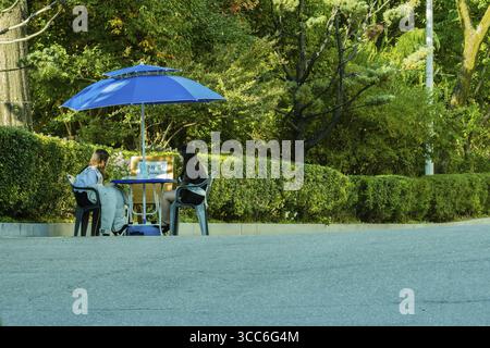 Daejeon, Corée du Sud. 19 octobre 2018 : deux jeunes femmes asiatiques sur le campus de l'Université Woosong assis à table sous un auvent bleu attendant les gens à baiser Banque D'Images