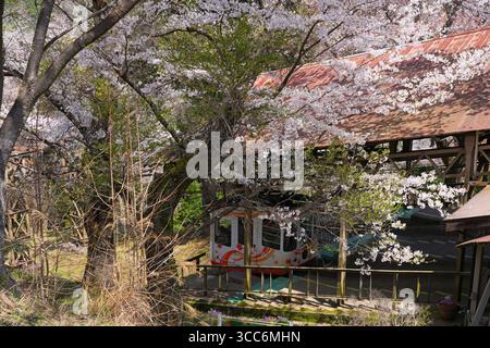 YOSHINO, JAPON – 9 avril 2025 - vue du téléphérique Yoshino Ropeway reliant la gare de Yoshino à Yoshinoyama pendant la saison des cerisiers en fleurs. Yoshino est un Banque D'Images
