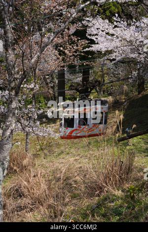 YOSHINO, JAPON – 9 avril 2025 - vue du téléphérique Yoshino Ropeway reliant la gare de Yoshino à Yoshinoyama pendant la saison des cerisiers en fleurs. Yoshino est un Banque D'Images