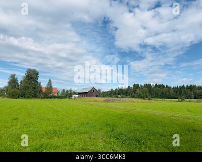 Un paysage pittoresque avec une grange, un champ vert et un ciel bleu avec des nuages. Banque D'Images