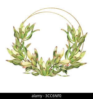 Modèle de bannière verte florale avec des fleurs de protéa exotiques sauvages dans l'illustration de cadre doré. Clipart de feuillage de verdure dessiné à la main, élégant fram botanique Banque D'Images